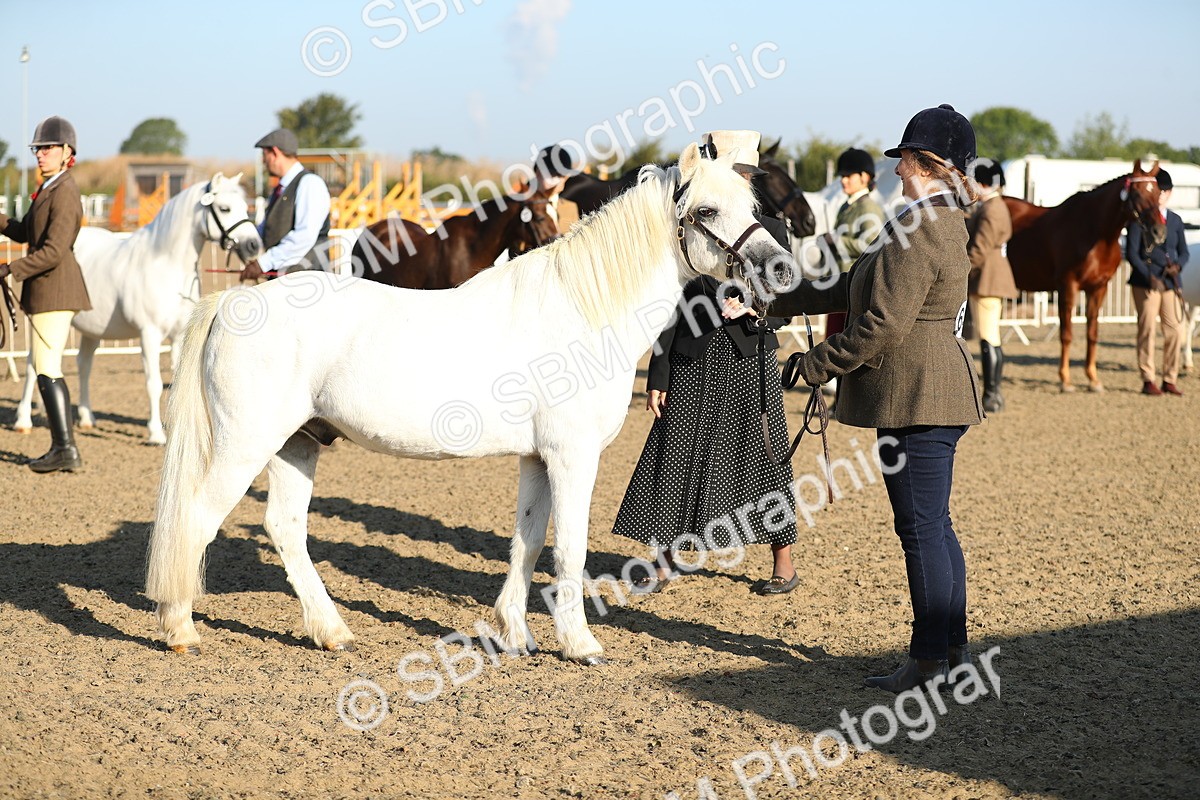SBM_00015 - Class 40 Best Turned Out IH