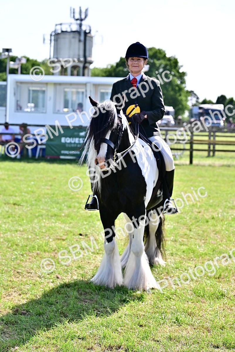 SBM_09430 - Class 63-65 - Traditional Gypsy Cobs In Hand & Ridden