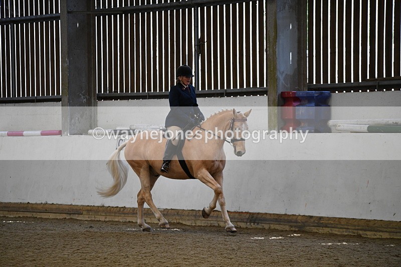 WJ5_5972 - Class 9 Ridden Veteran