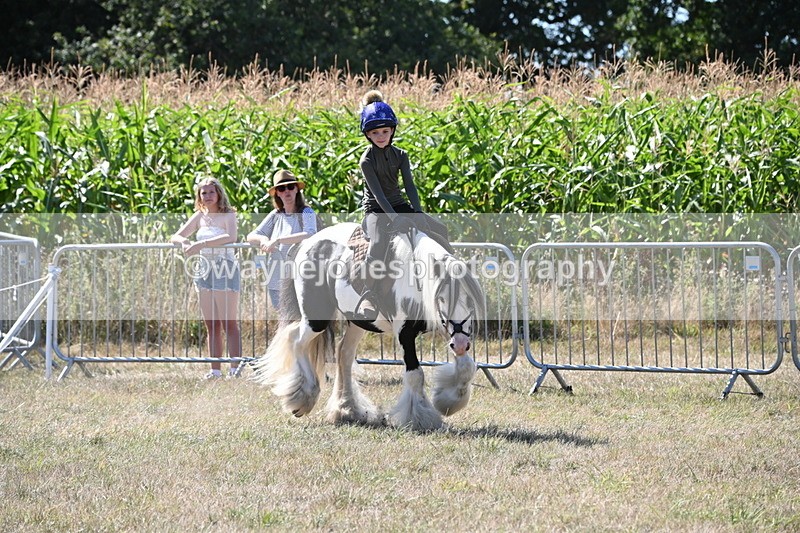WJ6_8963 - Class 38 Ridden Riding Horse/Pony