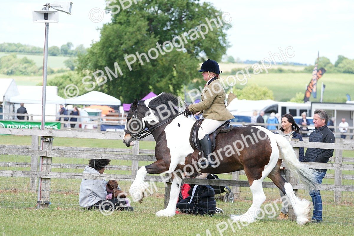 SBM_17158 - Class 107-108 - LIHS BSPS Performance Coloured Horse Pony