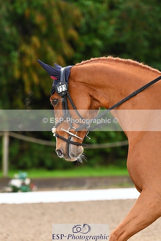 231021-092030-12510 - 223-RASCAL.ROULETTE-Charlotte.Byrnes-DR