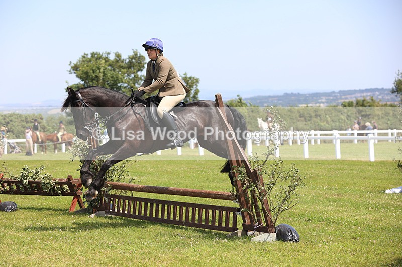JPP_2537 - Class 21: Working Hunter 60cm