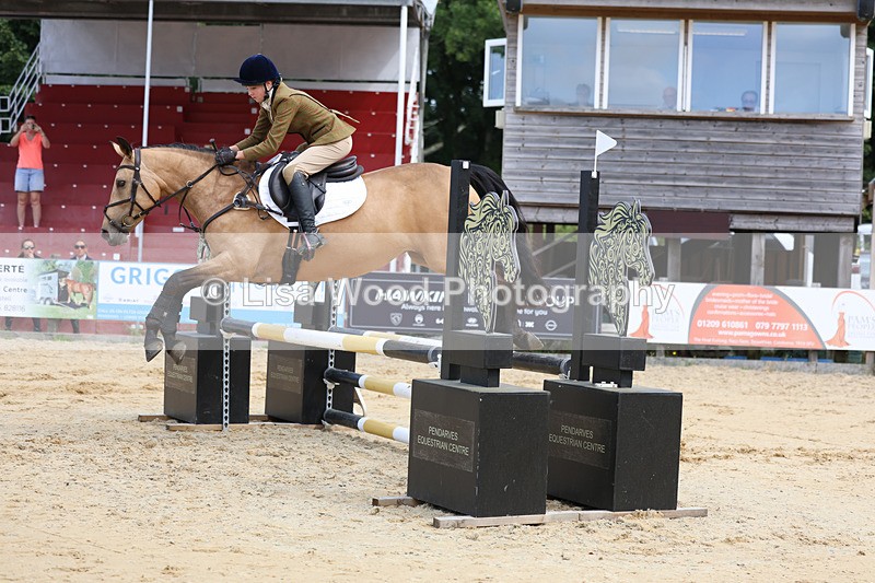 3E7A3393 - Class 4: Senior British Novice/90cm open
