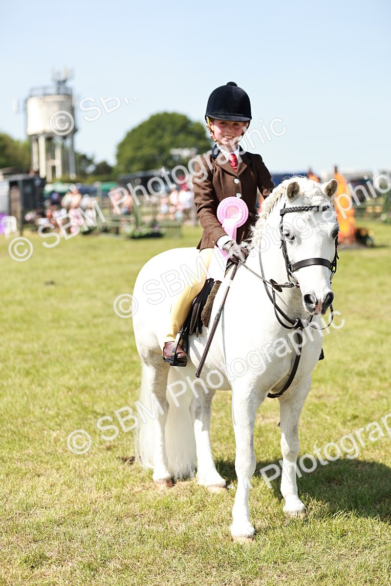 SBM_13661 - Class 108-109 - BSPS LIHS Open Gradle & Nursery Stakes