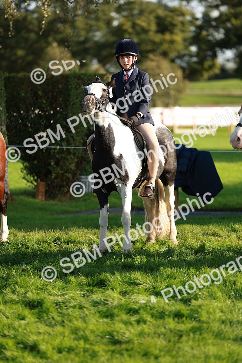 SBM_28779 - S7 - Novice & Newcomer Ridden Pony