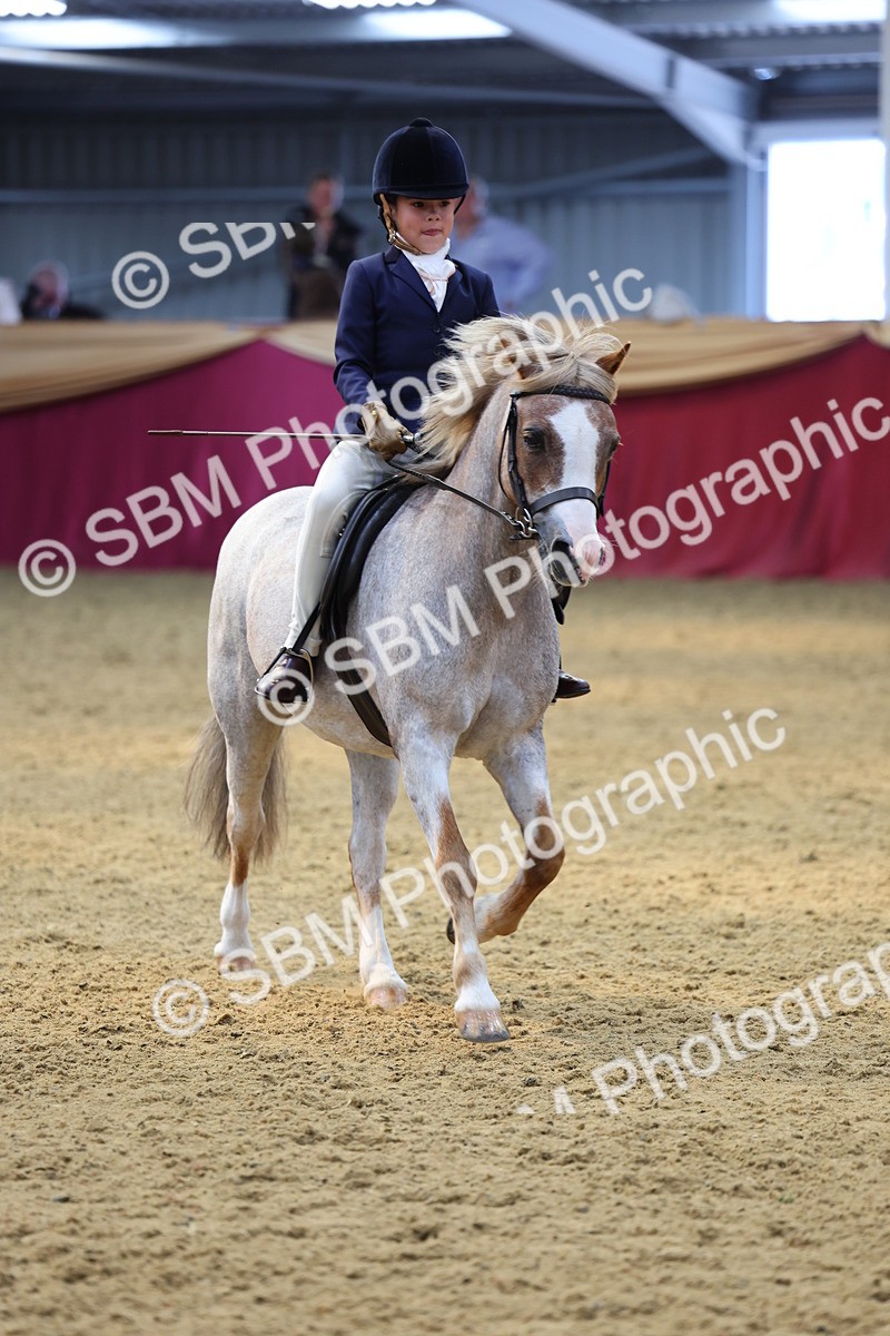 SBM_23979 - Class 905 - Supreme Final - Ridden Veteran