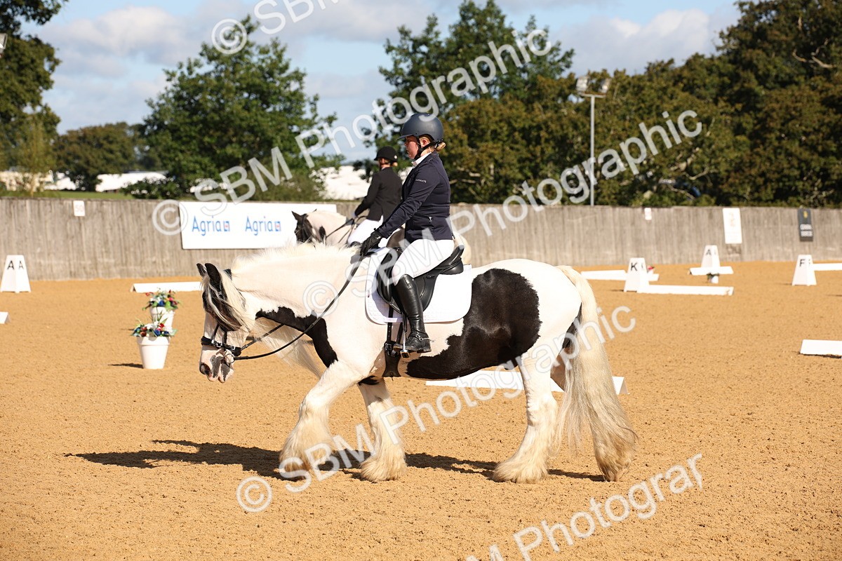 SBM_01947 - D2 Small Tour Championship Intro C