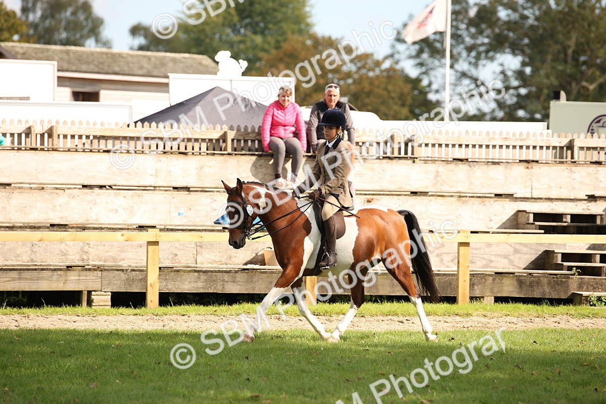 SBM_50036 - S26 - Young Veteran - Ridden