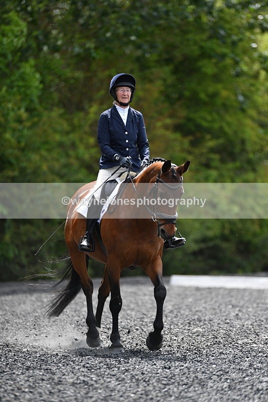 WJ5_0739 - Time 13:04 to 13:42