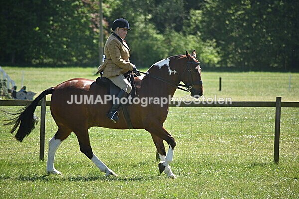 DSC_9119 - Rings 1 & 2
