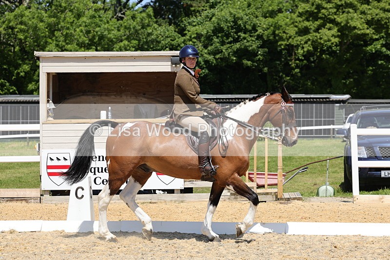 1X9A1816 - Class 12: Ridden Riding Horse/Hack