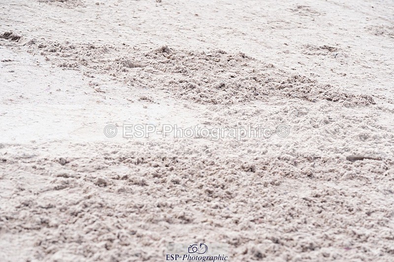 250425-135220-10096 - Cls 34 Young Horse 7yr old