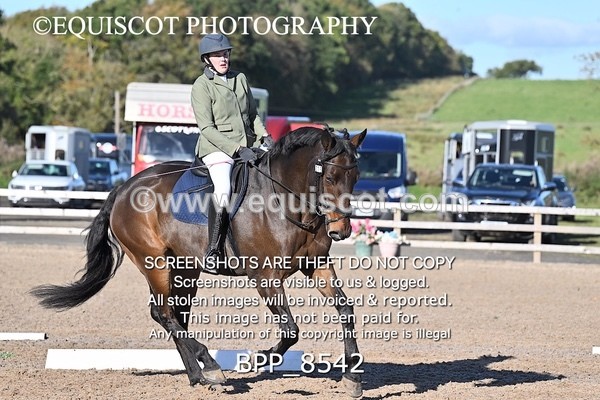 BPP_8542 - LONG ARENA