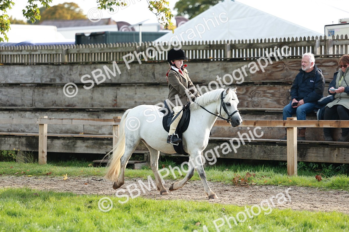 SBM_56301 - S39 - Starters In Hand Showing