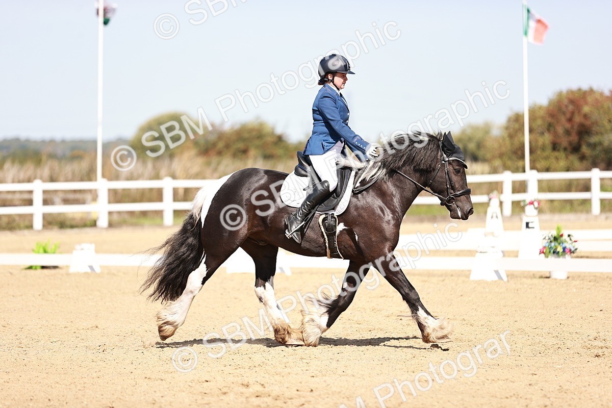 SBM_004596 - Class 12 - Novice 5 - 10.31-11.41