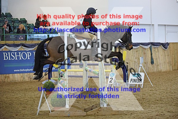 WS_0283 - Class 4a (Qualifier) & Class 4b (Open)  90cm