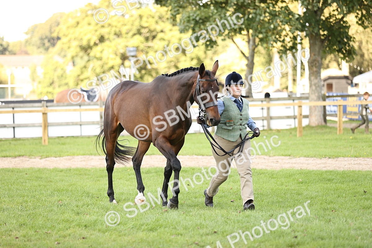 SBM_26261 - S5 - Novice & Newcomers In Hand