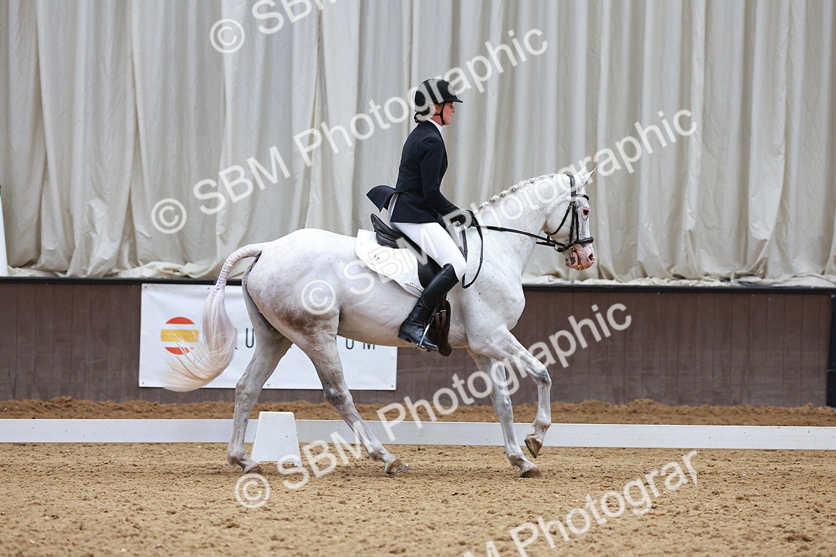 SBM_007484 - Class 4-5-6 - Prel 3-Novice 2-Ele 2