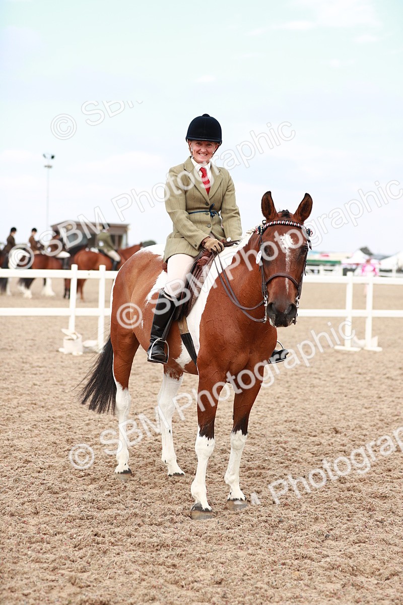 SBM_17592 - Class 215 Ridden Hack/ Riding Horse