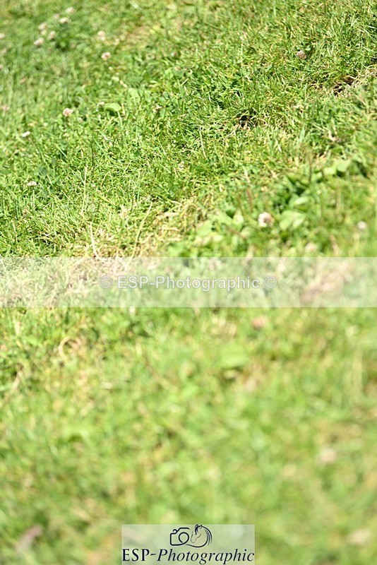 240706-120546-15106 - Cls 40 Newcomers