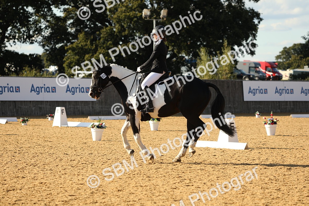 SBM_28539 - D20 - Grand Tour Championship - Elementary 44