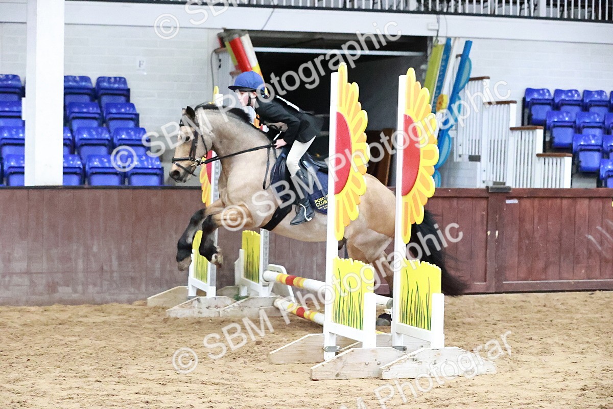 SBM_000588 - Class 2 - Show Jumping 50cm