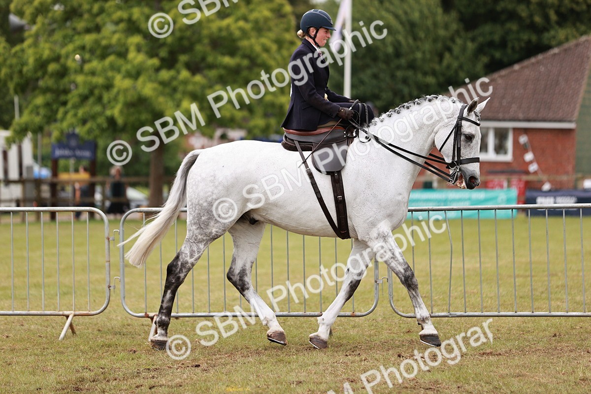 SBM_10963 - Class 81-84 - RIHS Ridden hunters Inc Ladies Hunter