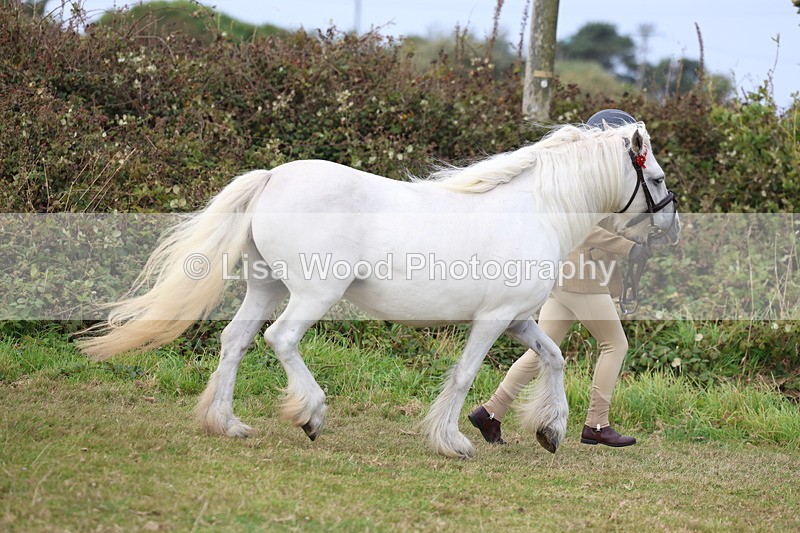 3E7A5273 - Class 18: Veteran in Hand