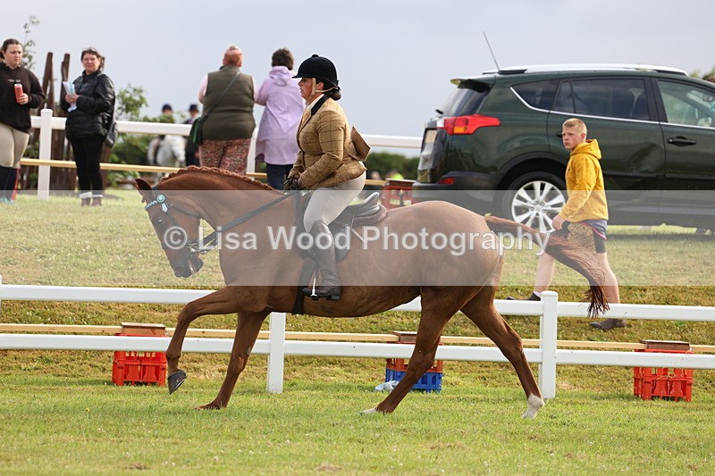 3E7A8117 - Class 2: Rising Star Large Hack/Riding Horse