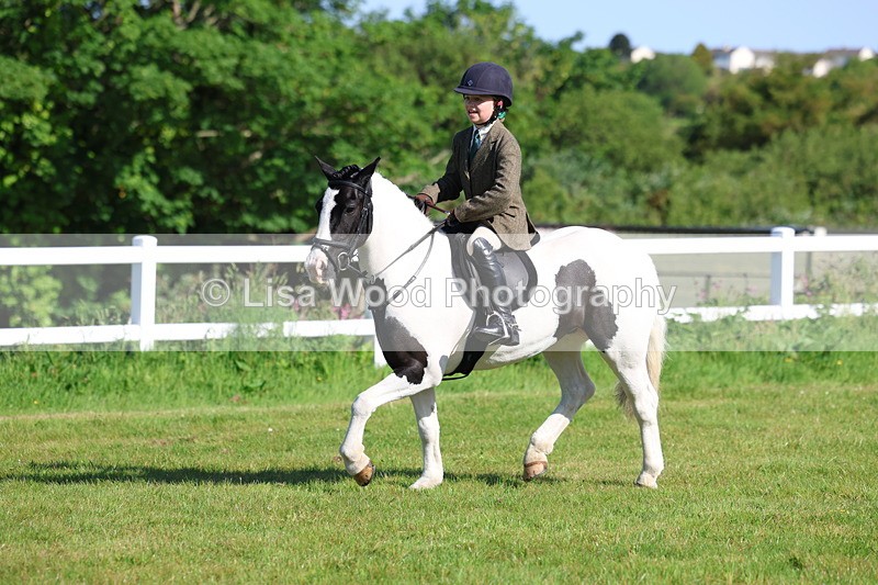 3E7A5898 - Class 27: Novice Working Hunter Pony