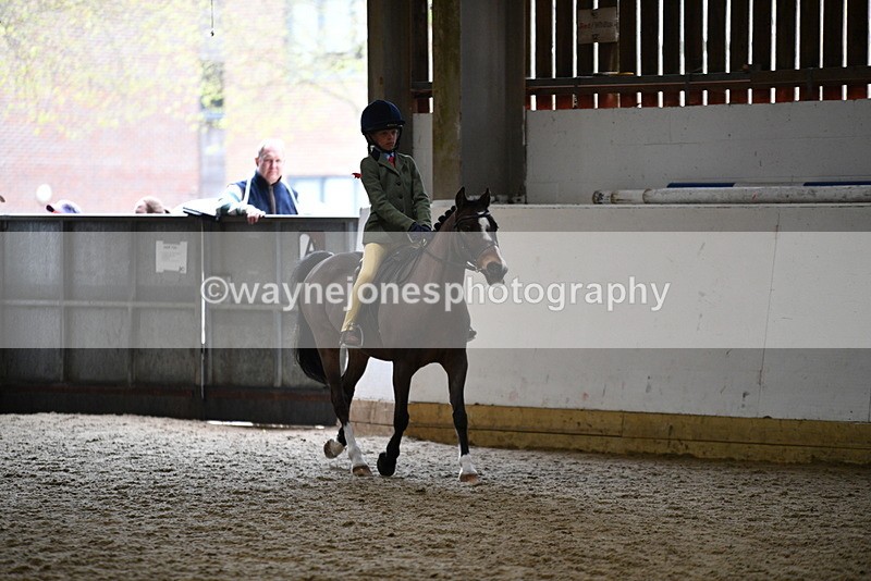 WJ5_6831 - Class 10 Childs Pony