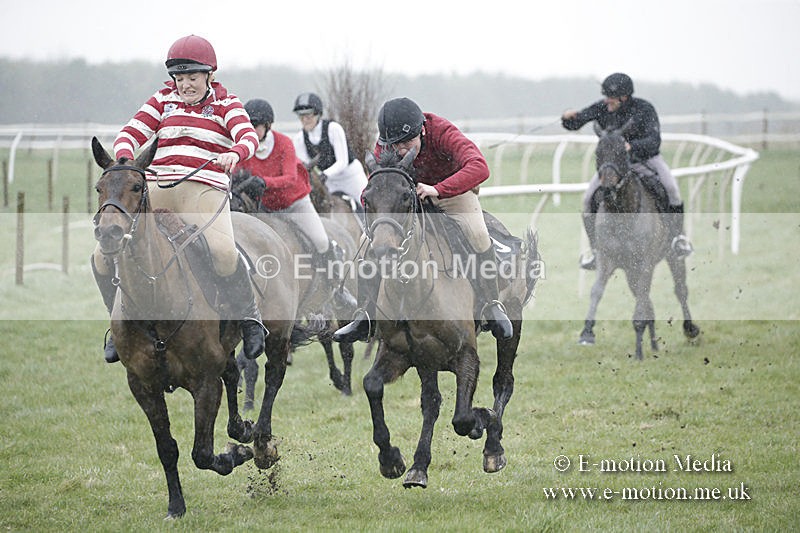 PtP 150320 0016 - New Forest Point-to-Point Larkhill 15/03/20