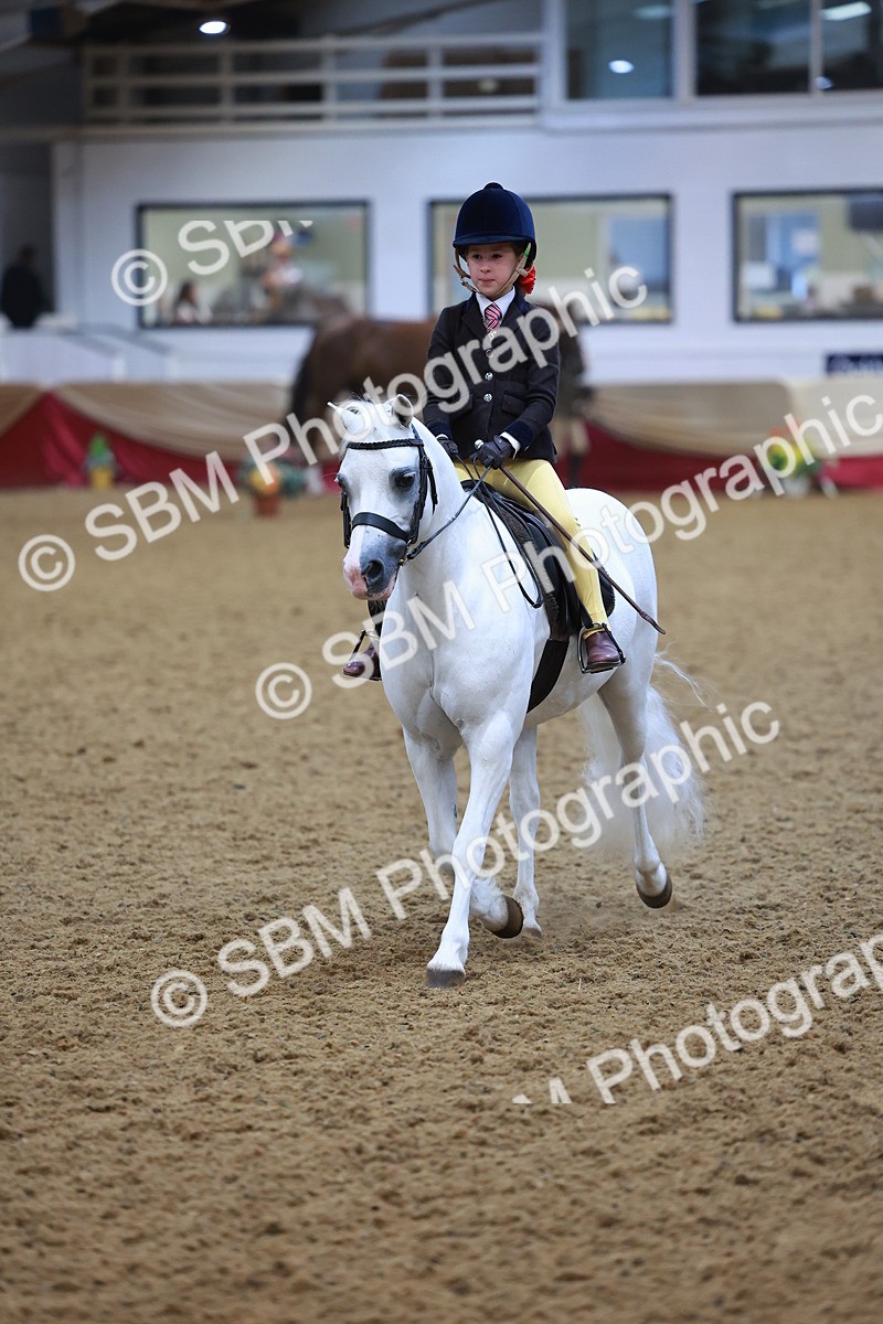 SBM_10693 - Class 103 - HOYS Veteran Qualifier - Ridden Pre Vet