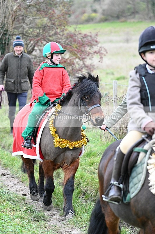 WJ7_0948 - First Seen