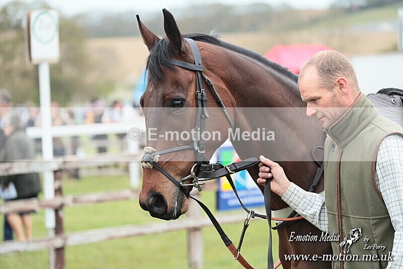 PtP 130425 205 - Edgecote Races 13/04/25