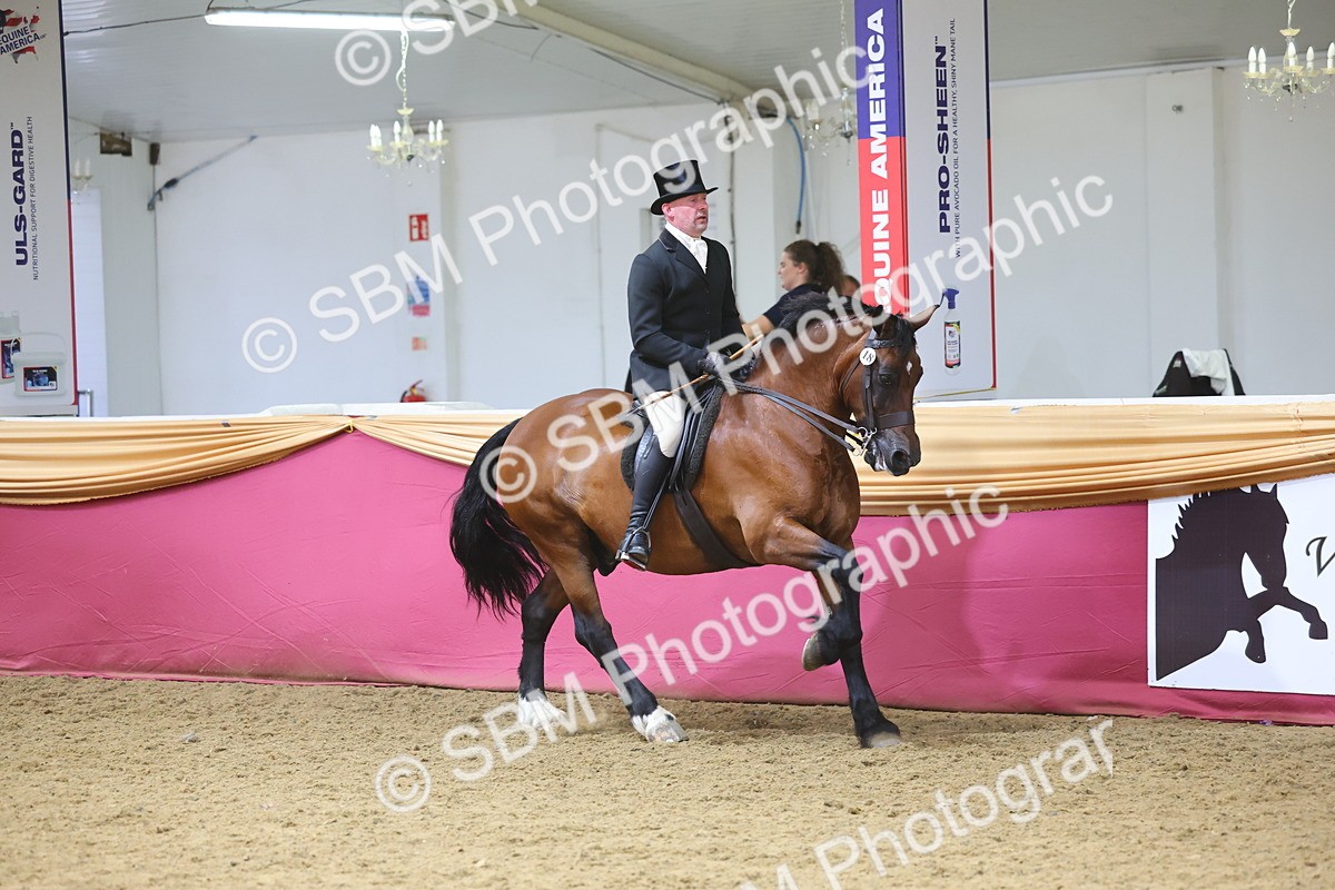 SBM_24932 - Supreme Final - Ridden Champion