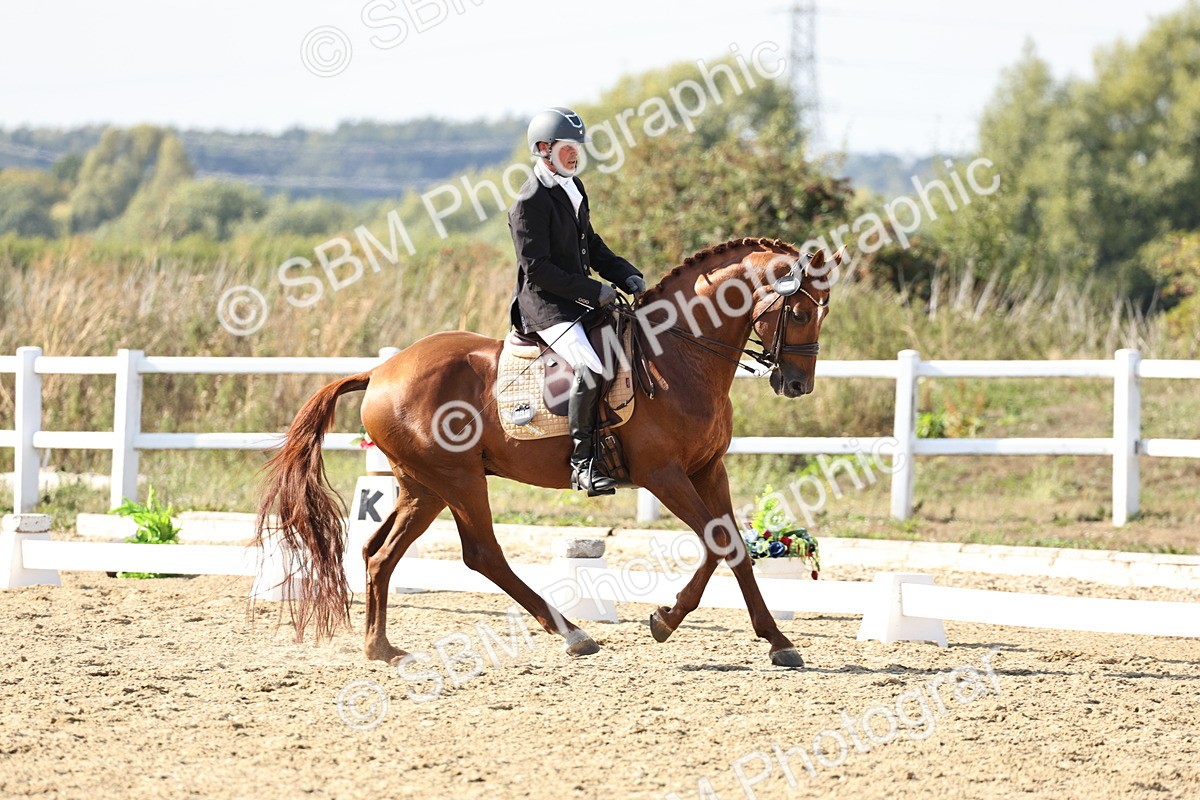 SBM_015375 - Class 9 - Advanced medium 3