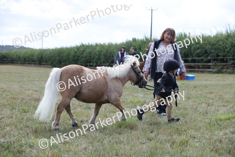 20250831-3050 - Class 23 - Child Handler