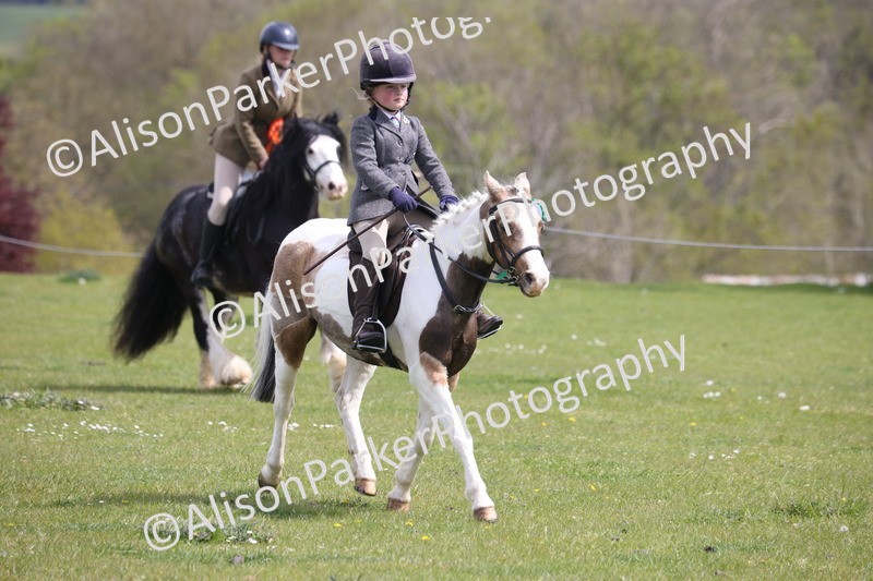 20260426-4057 - Class 33 - Best Pony 14.2hh and Under