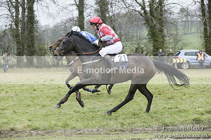PtP 020418 -235 - Old Berks Point-to-Point Races Easter Monday 02/04/18