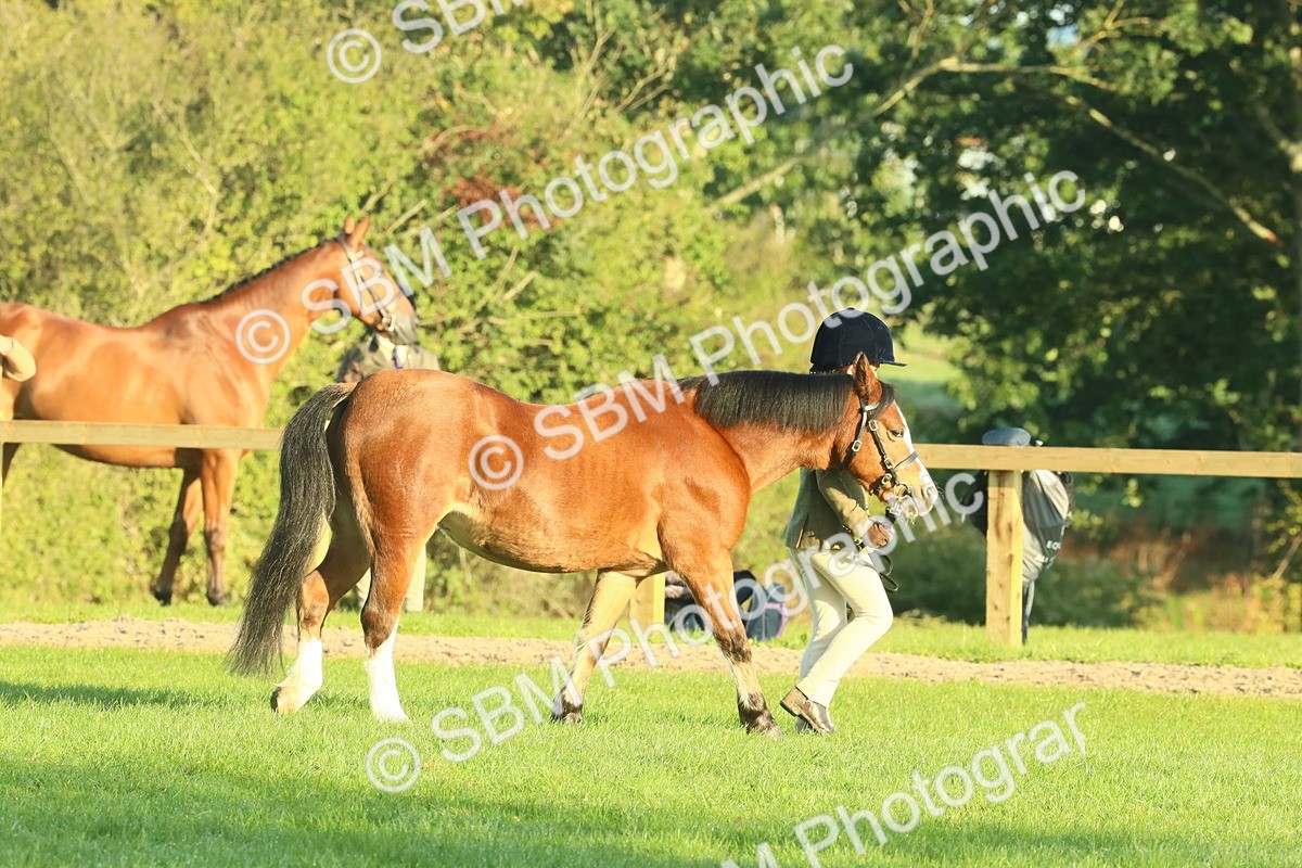 SBM_57315 - S37 - Starters In Hand Showing