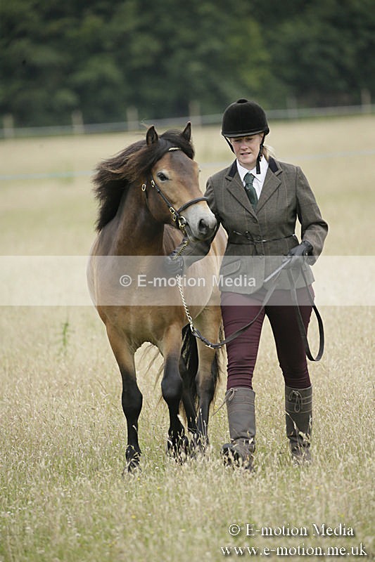 B230619-0037 - Bourne Valley Riding Club Summer Show 23/06/19
