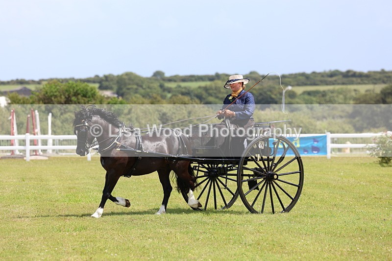 3E7A2696 - Class 12: Open Driving