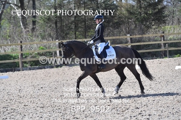 BPP_9502 - NOVICE 6
