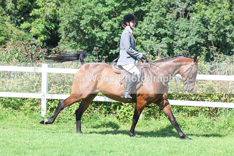 3E7A8383 - Class 4: Novice working Hunter