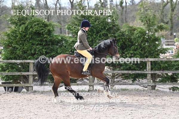 BPP_7637 - RING 1  (RIDDEN HORSES / IN HAND / VETERAN ETC)