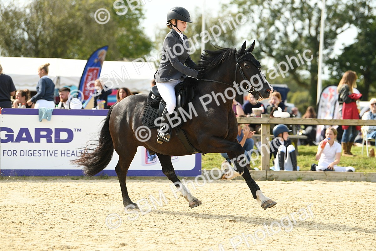 SBM_69232 - J15 - Junior Pony 70cm Championship