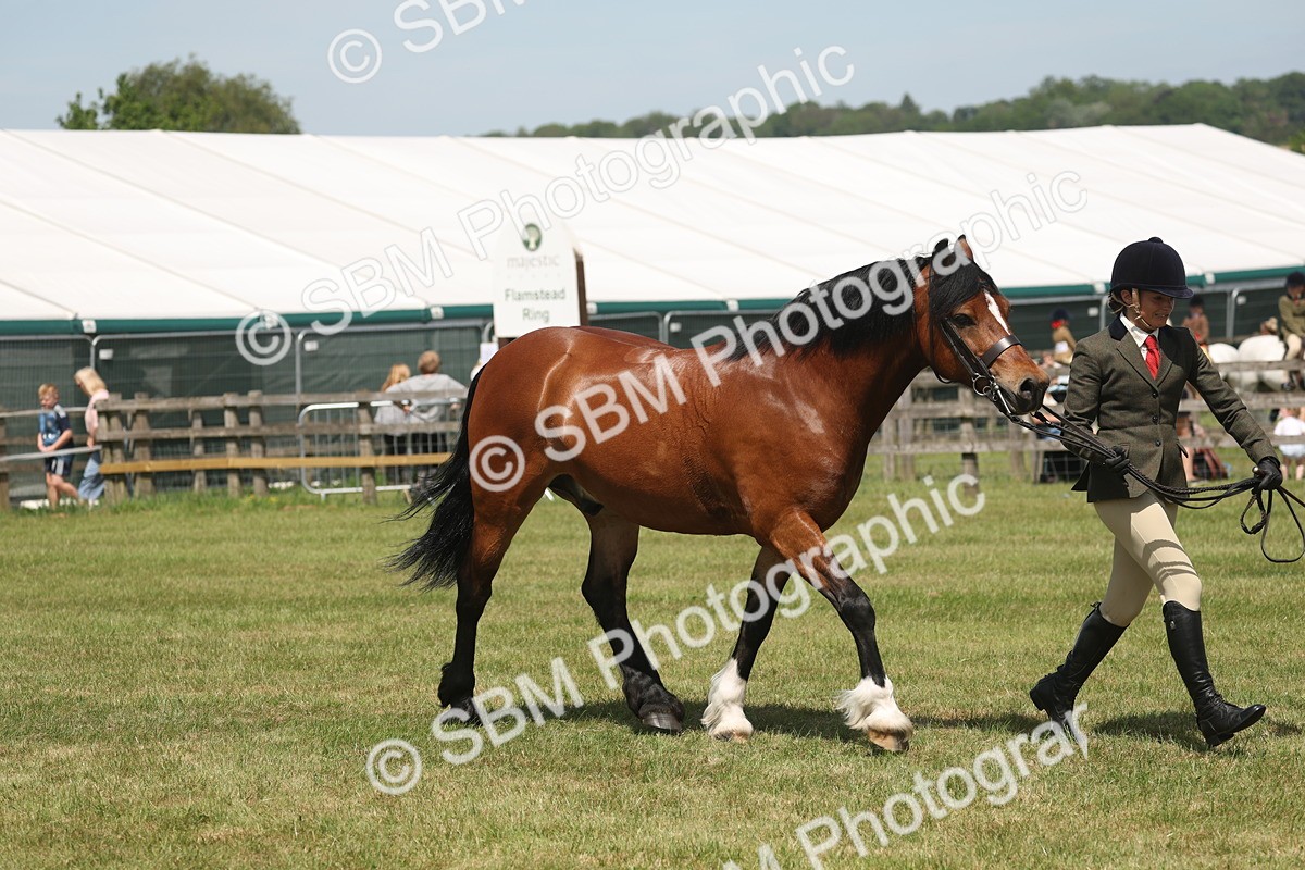SBM_06976 - Class 26-30 - Mountain and Moorland Ridden