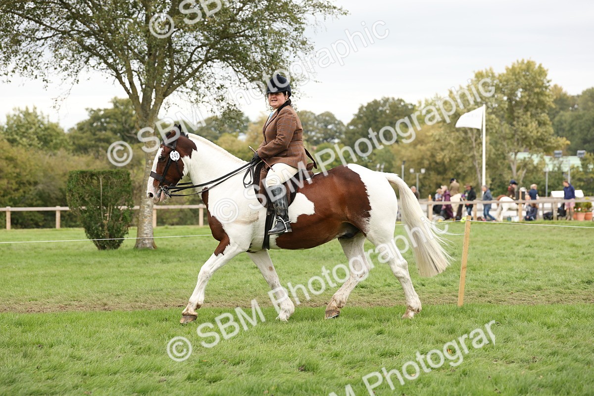 SBM_67251 - S67 - Piebald & Skewbald Horse Ridden